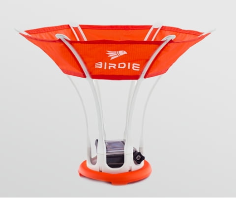 Birdie